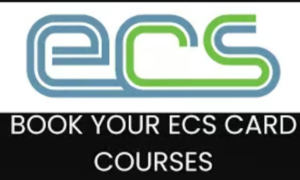 ECS 1 DAY ONLINE COURSE